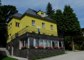 Гостиница Pension Valja  Янске Лазне